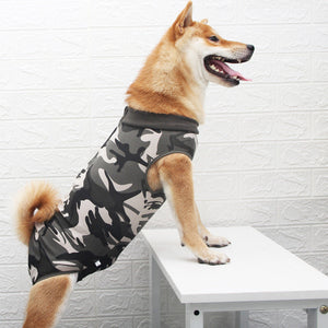 Fashionable Multicolor Pet Clothing: Style Meets Comfort for Your Furry Friends